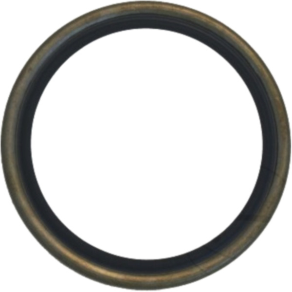 Shaft seal 12006467B