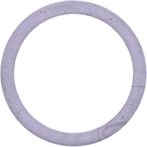 CAM CHAIN TENSIONER GASKET (OE SPARE PART) 7814