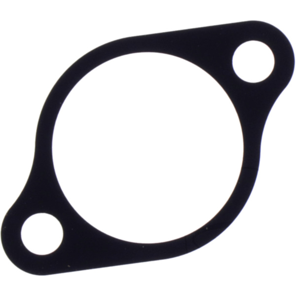 Dichtung Steuerkettenspanner Originalersatzteil 1197028