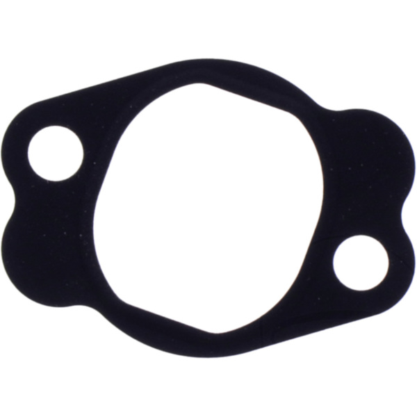CAM CHAIN TENSIONER GASKET (OE SPARE PART) 8332