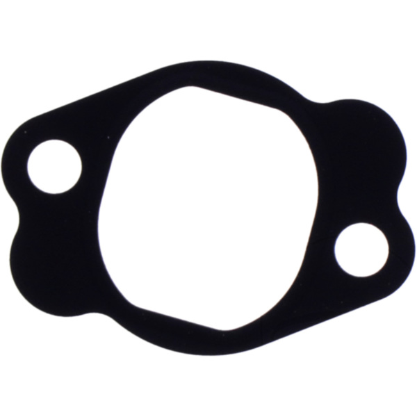 CAM CHAIN TENSIONER GASKET (OE SPARE PART) 8333