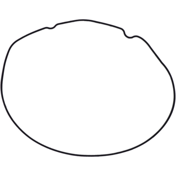 Dichtung Kupplungsdeckel Athena 1226919
