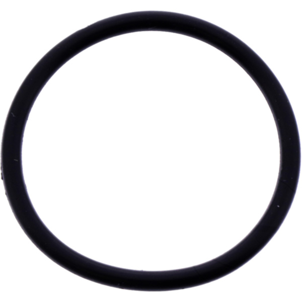 O-Ring 2.5X30 mm Originalersatzteil