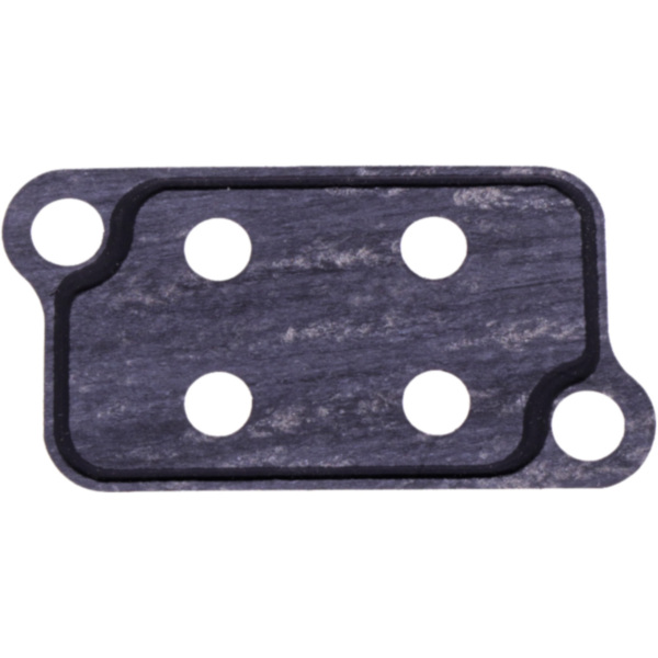 OIL STRAINER GASKET (OE SPARE PART) 8702