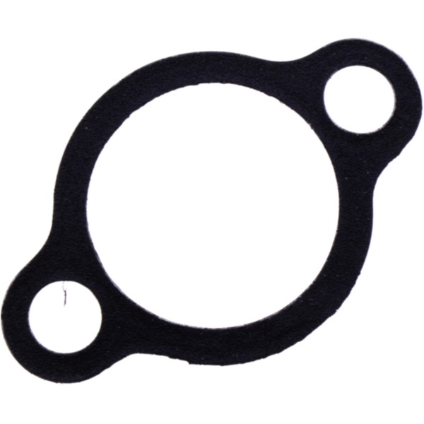Dichtung Steuerkettenspanner Athena 9177