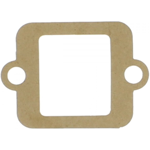 Gasket intake 3042