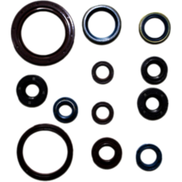 Engine oil seal kit P400010400027 fitting for Aprilia RXV  450 VPH00 2007, 52/34 PS, 38/25 kw