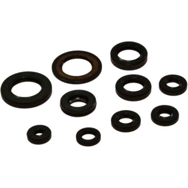 Engine oil seal kit OSL209