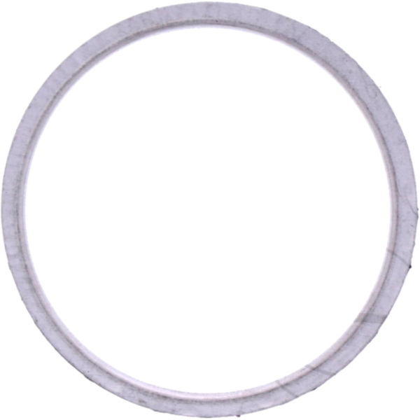 Exhaust gasket S410310012004