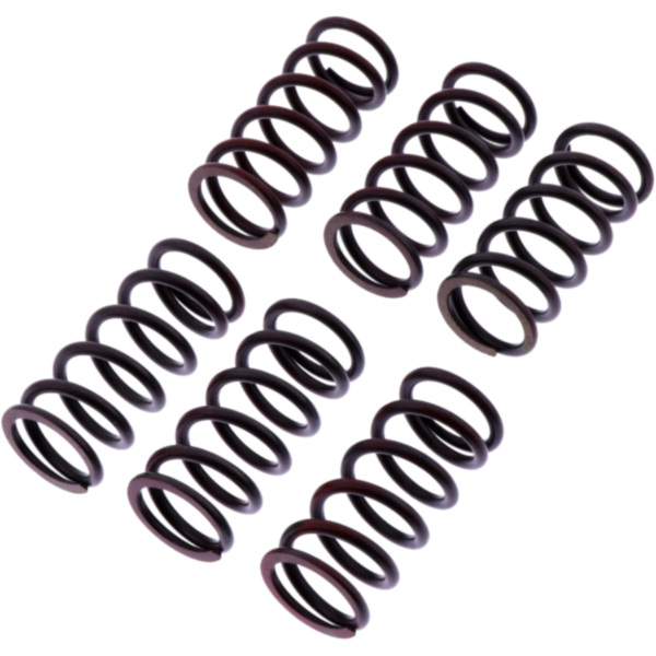 Clutch spring kit reinforced trw MEF3006