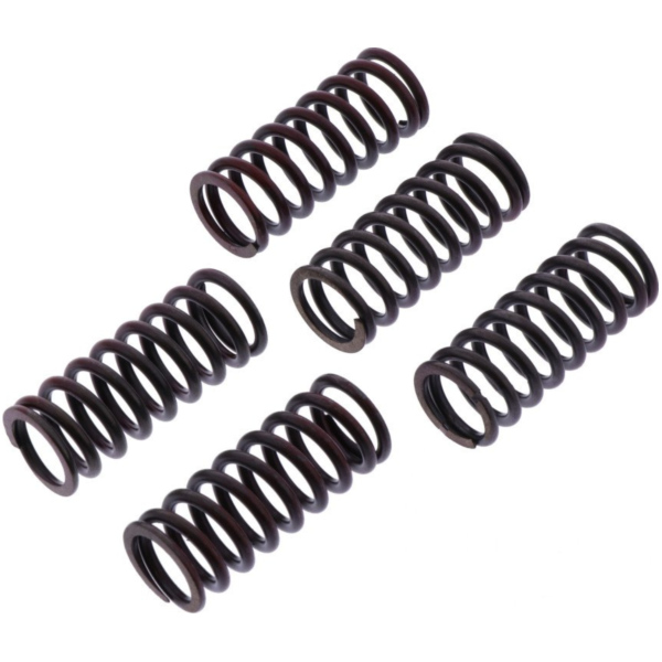 Clutch spring kit reinforced trw MEF3045