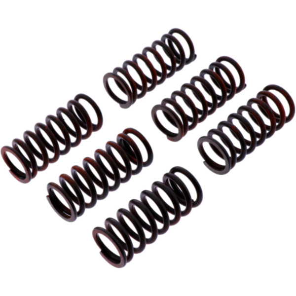 Clutch spring kit reinforced trw MEF3256