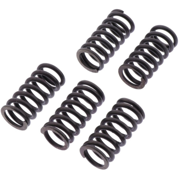Clutch spring kit reinforced trw MEF3525