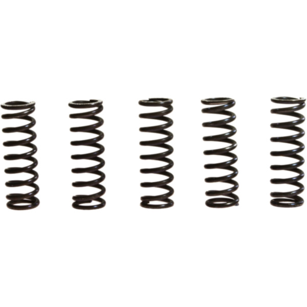 Clutch spring kit (5) MEF1495