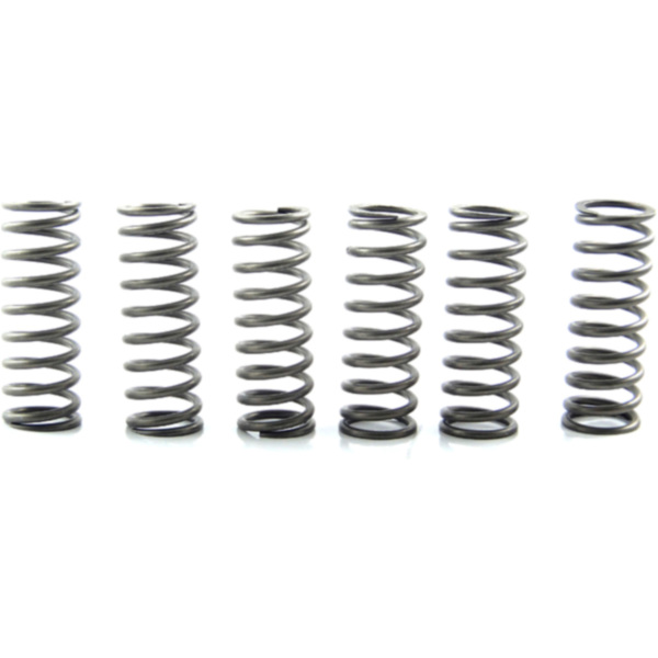 Clutch spring kit (6) CSK205