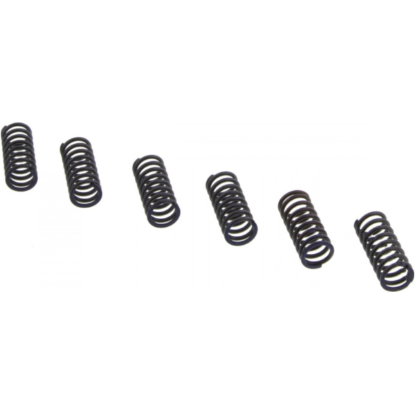 Clutch spring kit (6) CSK036