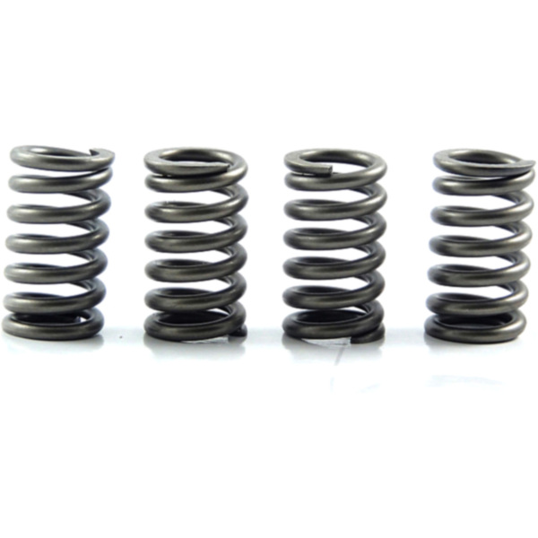 Clutch spring kit (4) CSK082