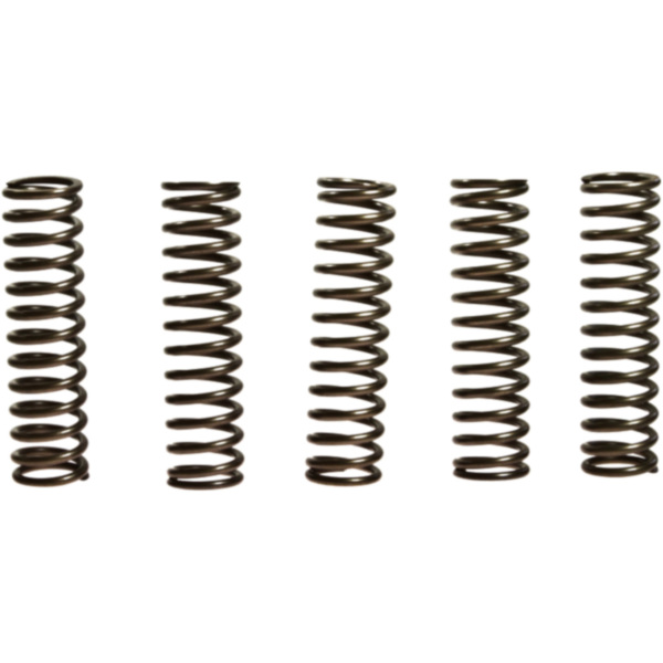 Clutch spring kit (5) CSK128