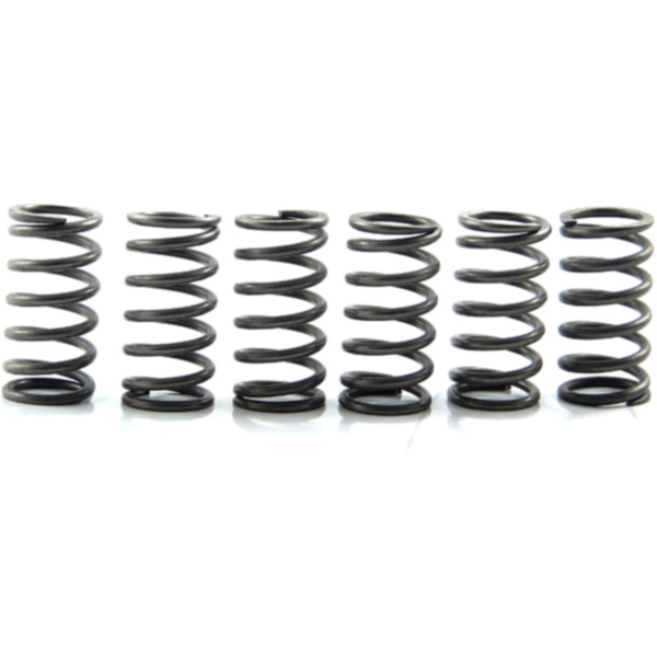 Clutch spring kit (6) CSK158