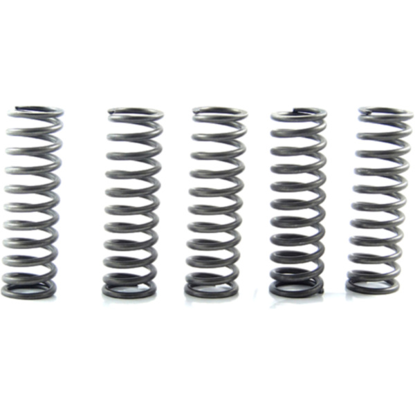 Clutch spring kit CSK169
