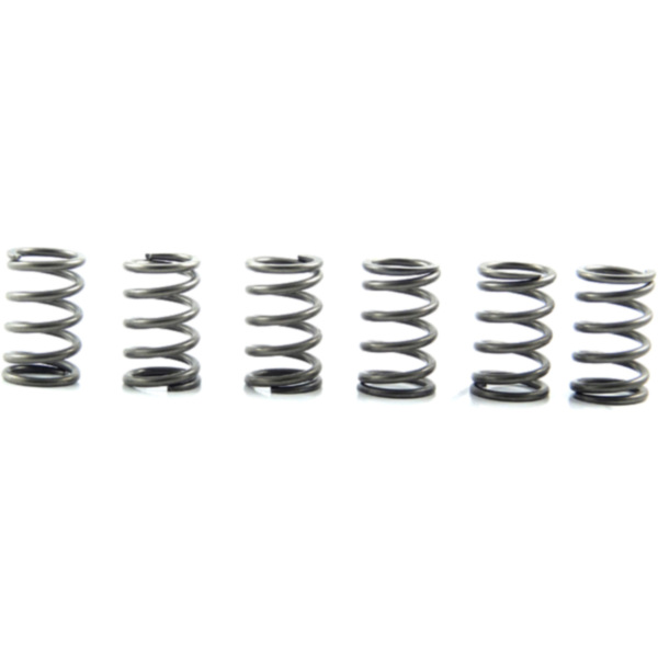 Clutch spring kit (6) CSK171