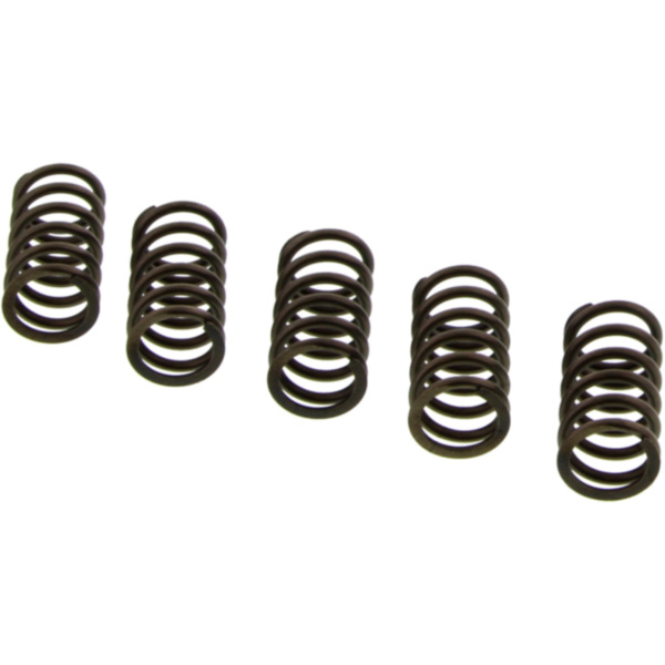 Clutch spring kit (5) CSK192