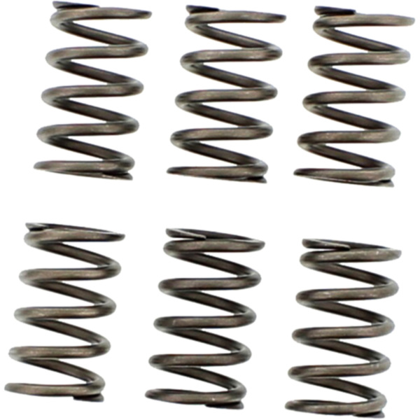 Ebc clutch spring set CSK089
