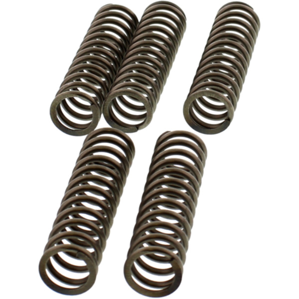 Ebc clutch spring set CSK170