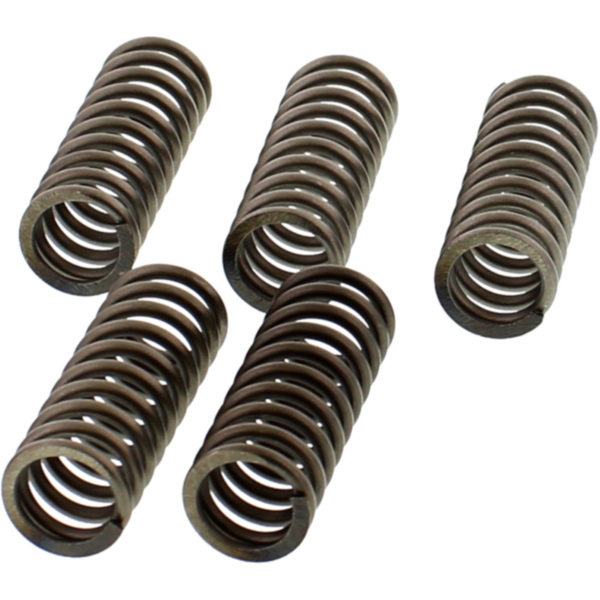 Ebc clutch spring set CSK215