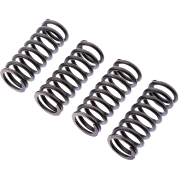 Clutch spring kit reinforced ebc CSK219
