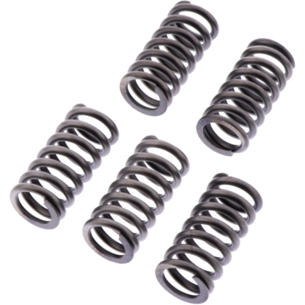 Clutch spring kit reinforced ebc CSK245