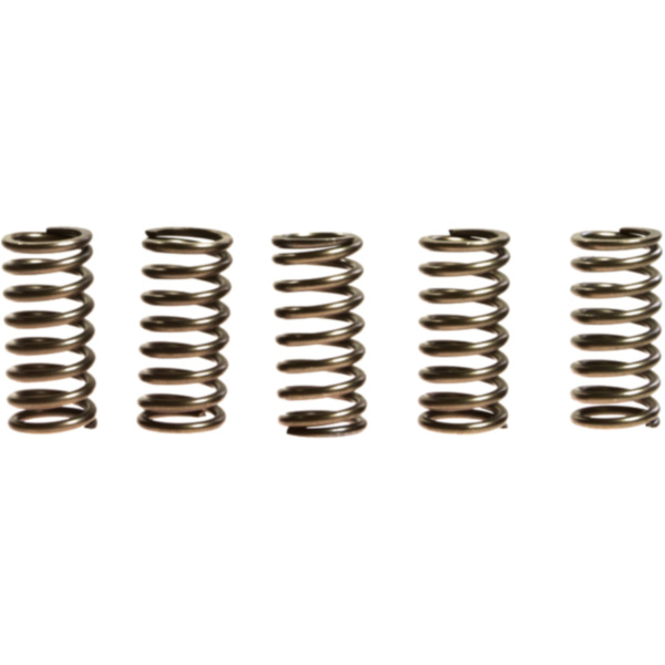 Clutch spring kit (5) CSK179