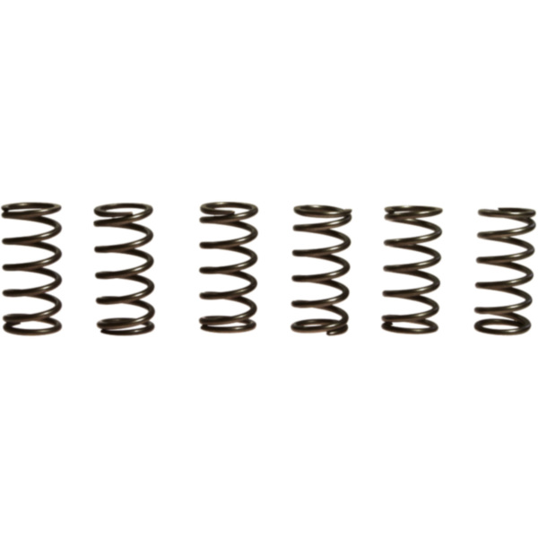 Clutch spring kit (6) CSK165