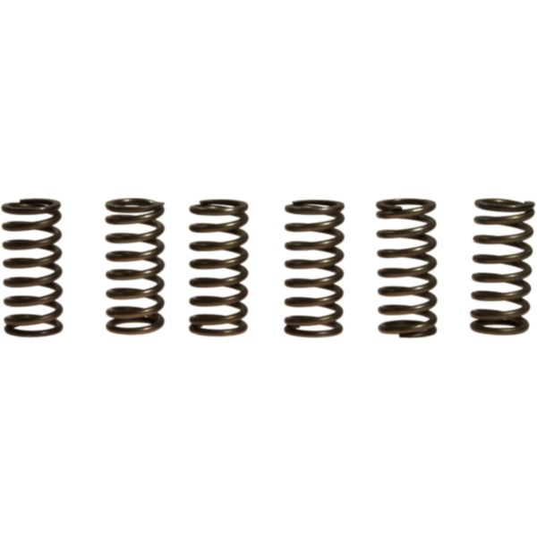 Clutch spring kit (6) CSK091