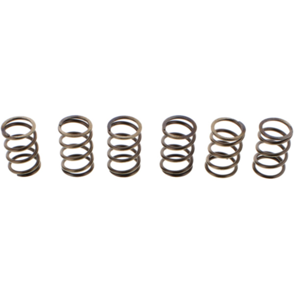 Ebc clutch spring set CSK197