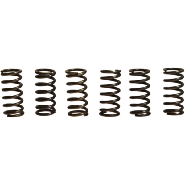 Clutch spring kit (6) CSK006 fitting for Suzuki GS Speichenrad 750 GS750 1979, 63 PS, 46 kw