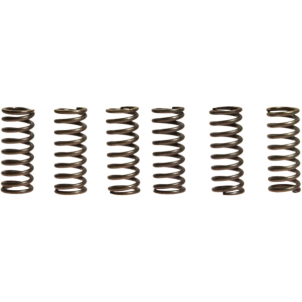 Clutch spring kit (6) CSK014 fitting for Yamaha WR  250 DG202 2008, 30,7 PS, 22,6 kw