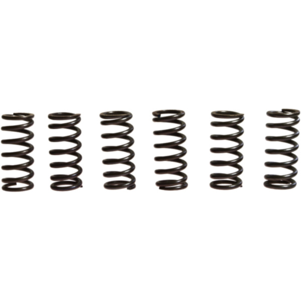 Clutch spring kit (6) CSK015 fitting for Triumph Bonneville T100 865 986MF 2008, 67/34 PS, 49/25 kw