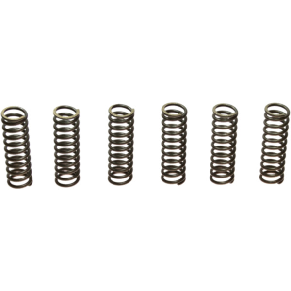 Clutch spring kit (6) CSK017 fitting for Yamaha YZF-R6  600 RJ031 2000, 120 PS, 88 kw