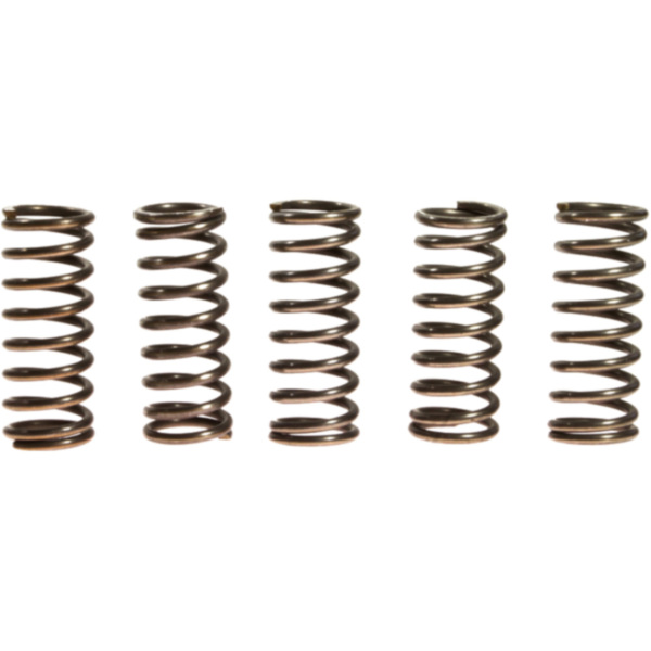 Clutch spring kit (5) CSK070