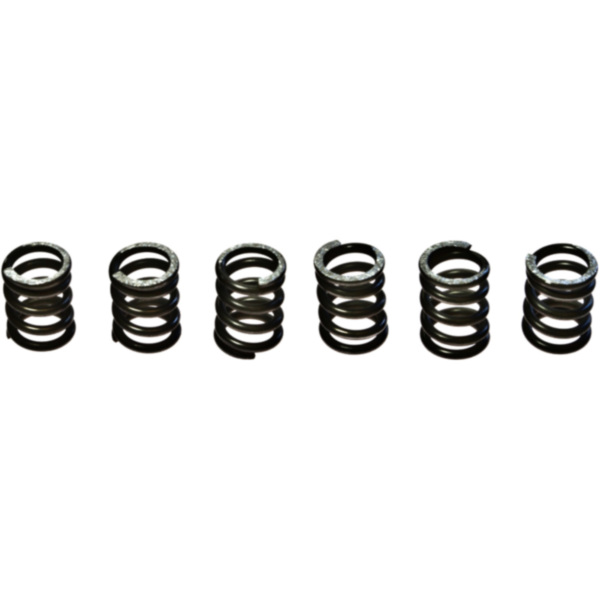 Clutch spring kit (6) CSK071