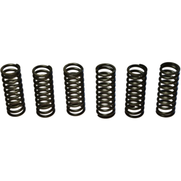 Clutch spring kit (6) CSK075