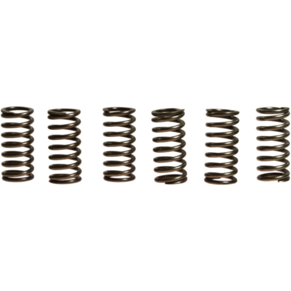 Clutch spring kit (6) CSK111