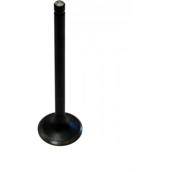 Intake valve 68011020