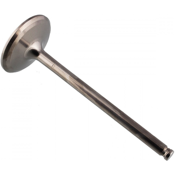 Einlassventil titan Prox 2824142_1