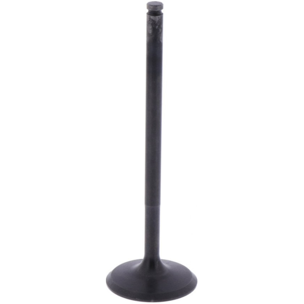 Intake valve (orig spare part) 1009403