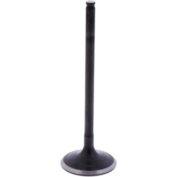 Intake valve (orig spare part) 1009602