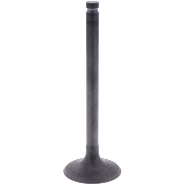 Intake valve (orig spare part) 1013092
