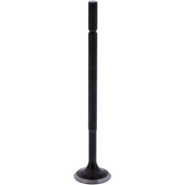 Intake valve 2 (orig spare part) 1013202