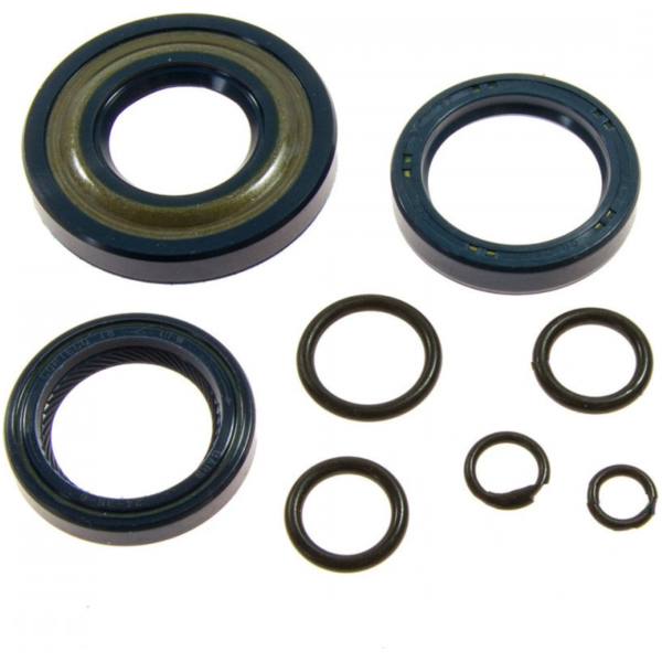 Engine oil seal kit 6651